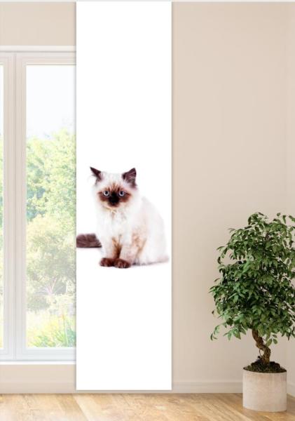 Majesti Katzenbaby, Flächenvorhang Einzel